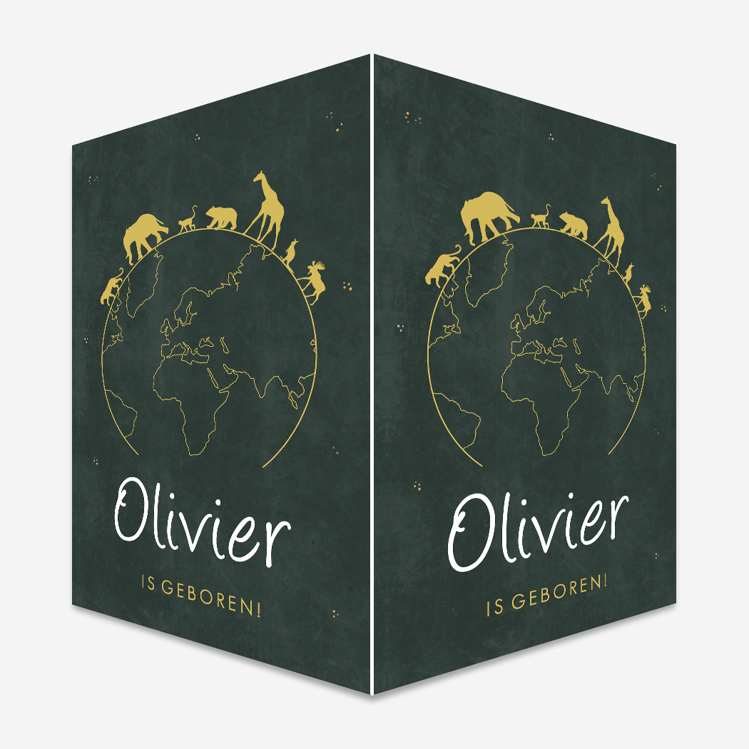 Raambord Dieren Wereldbol Groen