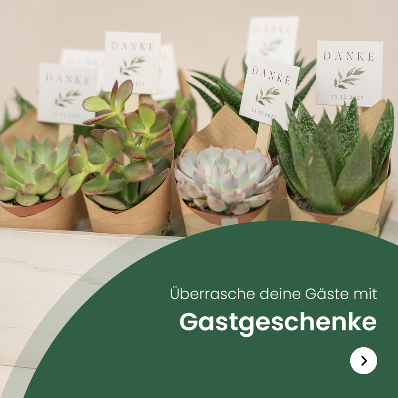 Gastgeschenke-redirect