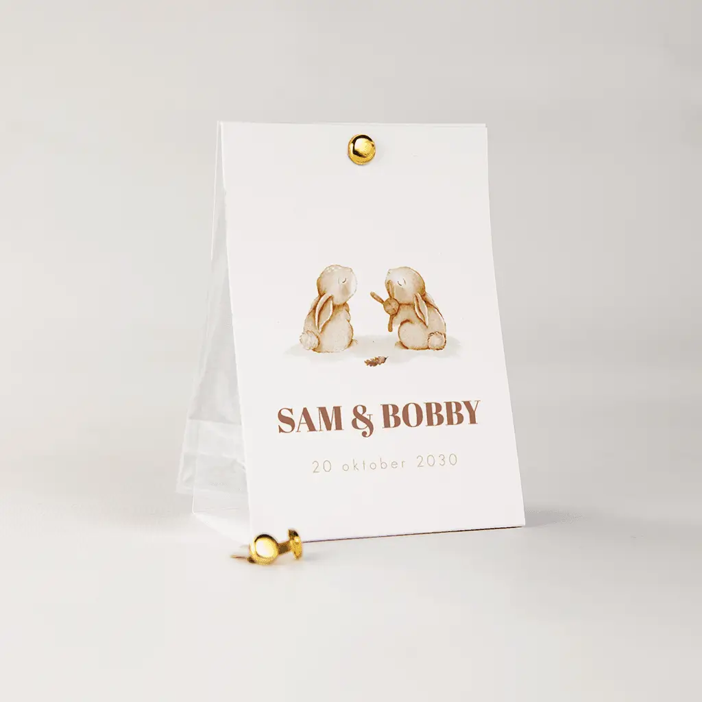 Doopsuiker snoepzakje tweeling met konijntjes