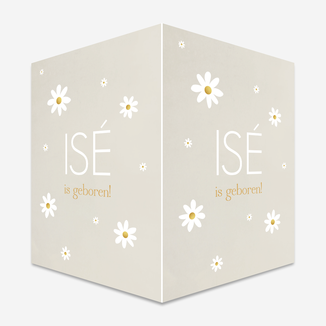 Raambord Bloemetjes Madeliefjes Beige