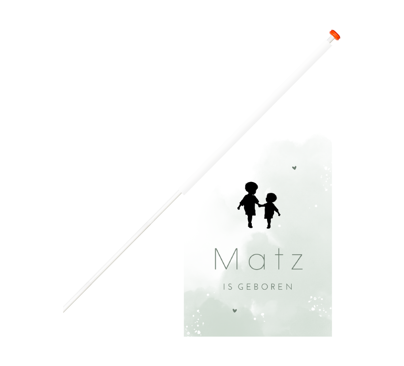 Groene geboortevlag met silhouet van broertjes