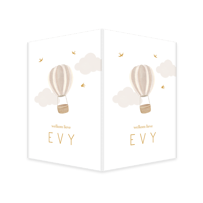 Raambord luchtballon witte achtergrond