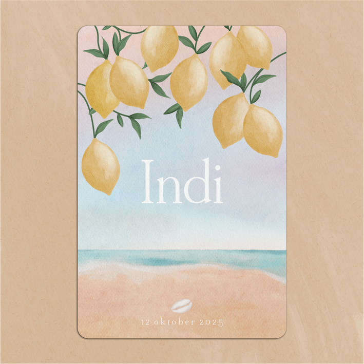 Geboortekaartje Jongen Meisje Strand Zee Citroenen