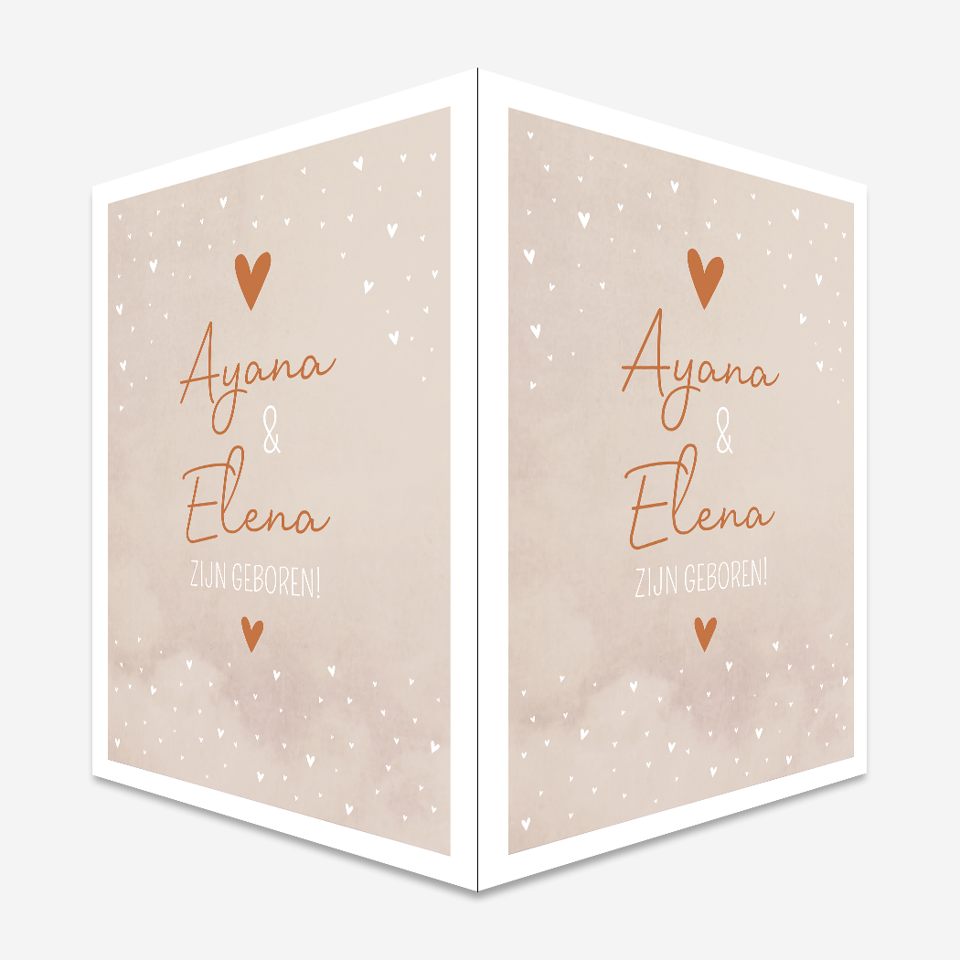 Raambord Geboortebord Tweeling Romantisch Roze