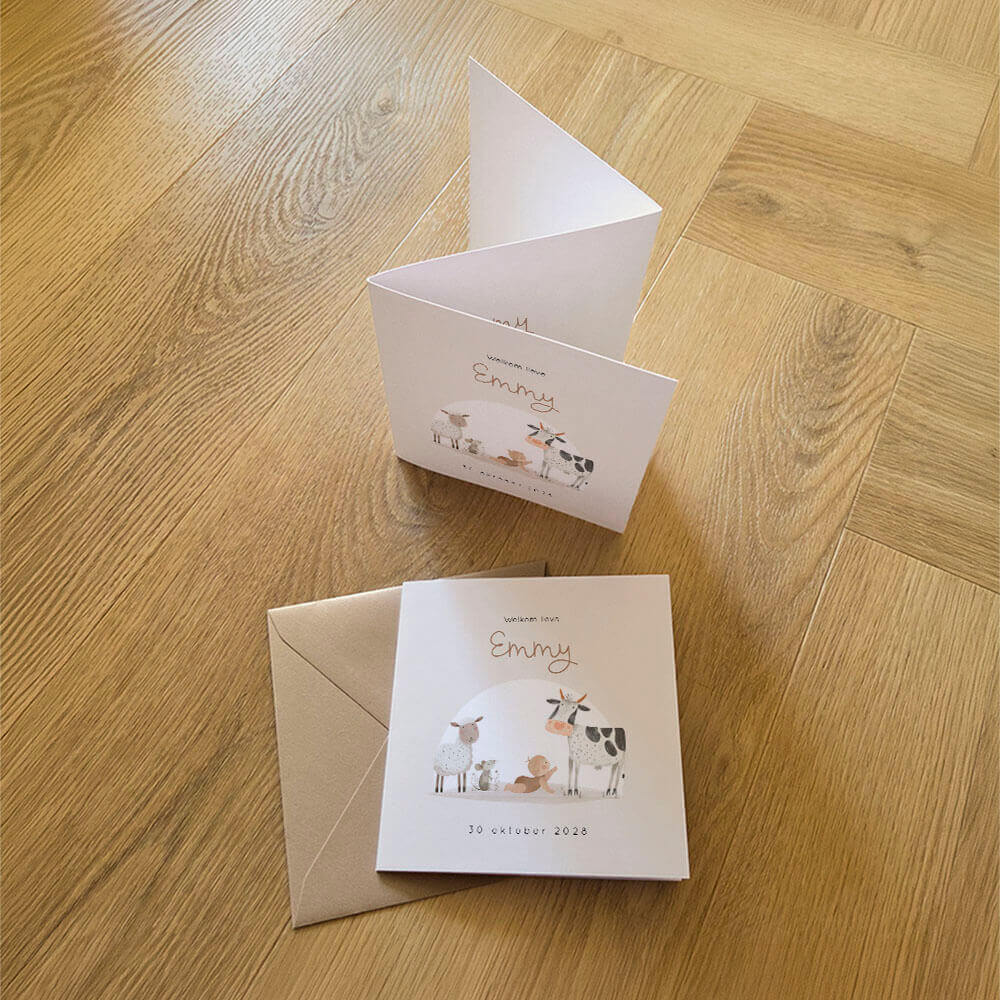 Origineel boerderij geboortekaartje baby meisje