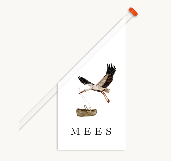 Geboortevlag getekende ooievaar met mandje