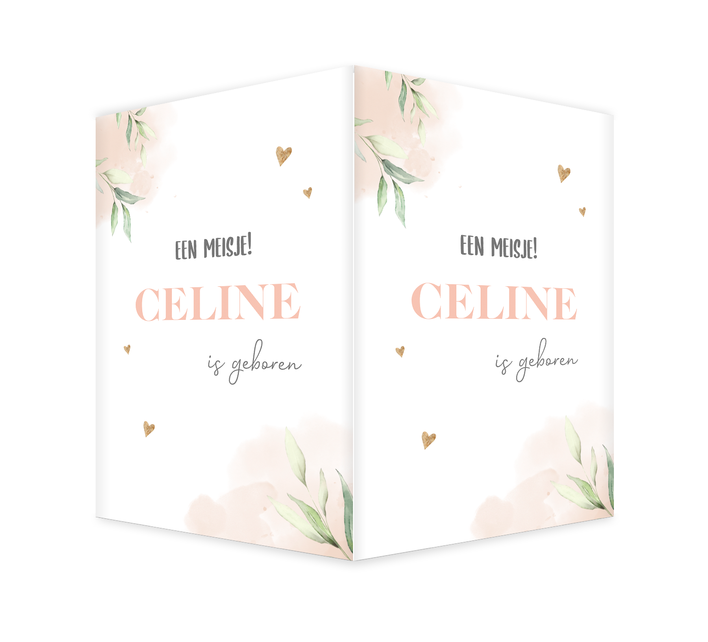 Botanisch geboortebord met roze waterverf