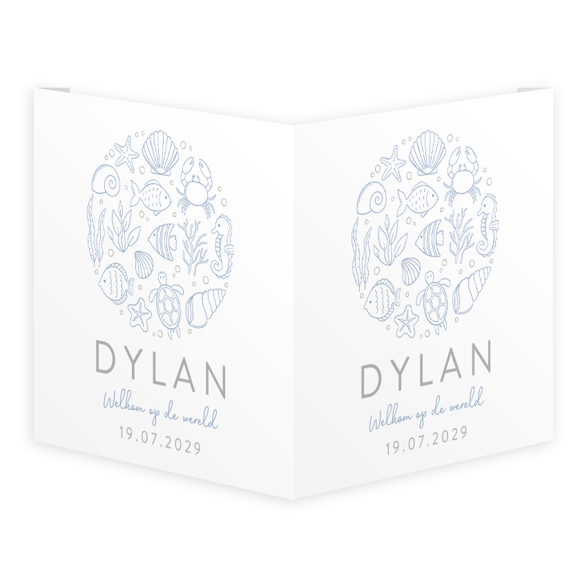 Raambord vierkant dubbel 50x50 cm | onderwaterwereld cirkel blauw