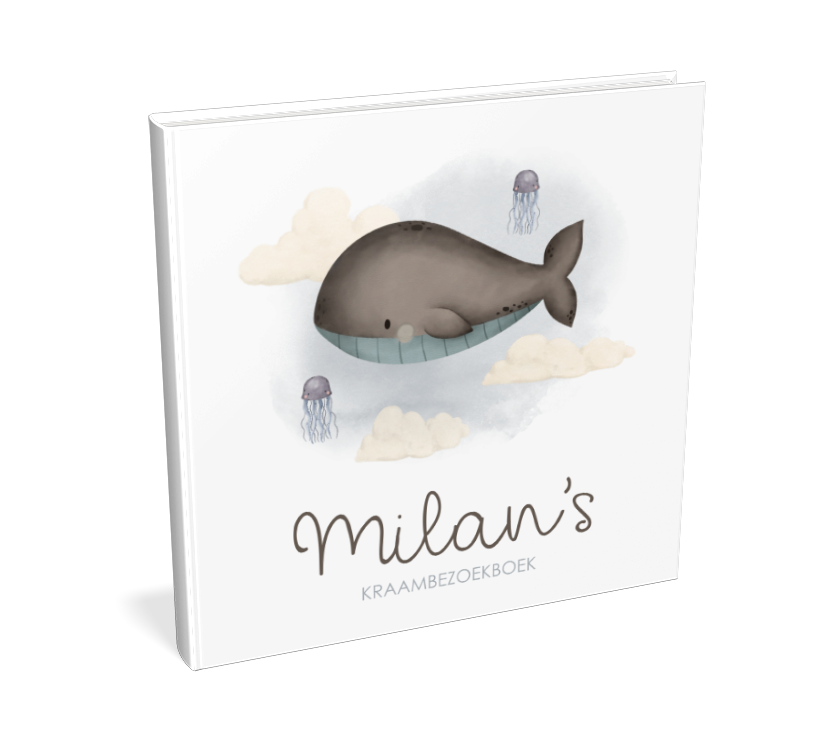 Kraambezoekboek watercolour met walvis en wolken