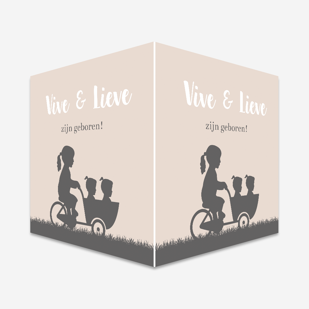Raambord Geboortebord Tweeling Bakfiets Silhouet