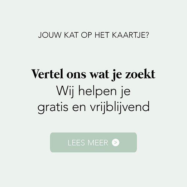 doorlink-plp-naar-opmaakhulp-geboortekaartje-kat