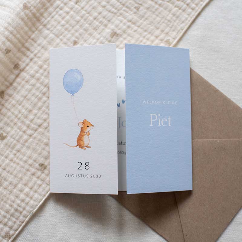 Geboortekaartje jongen tweeluik muisje ballon