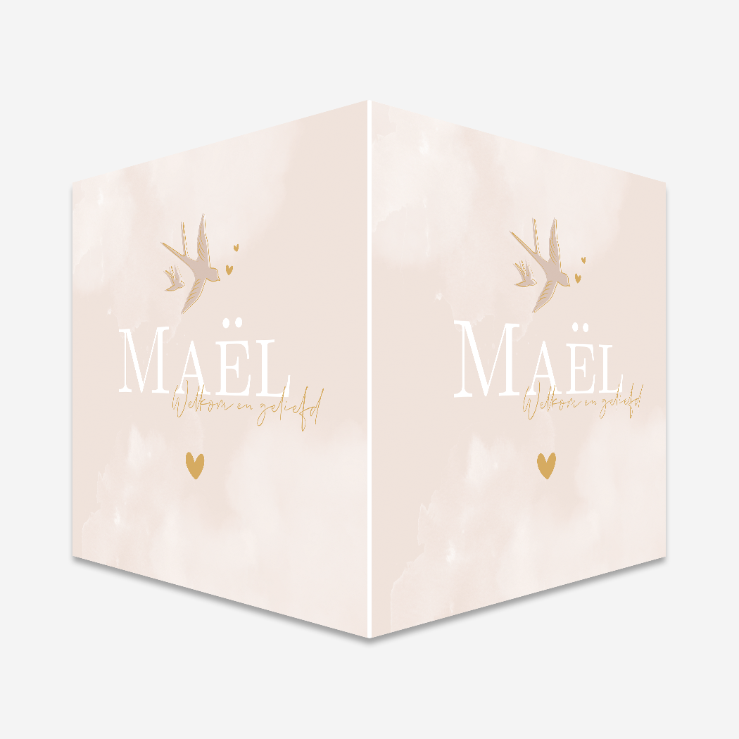 Raambord Zwaluw Vogels Roze