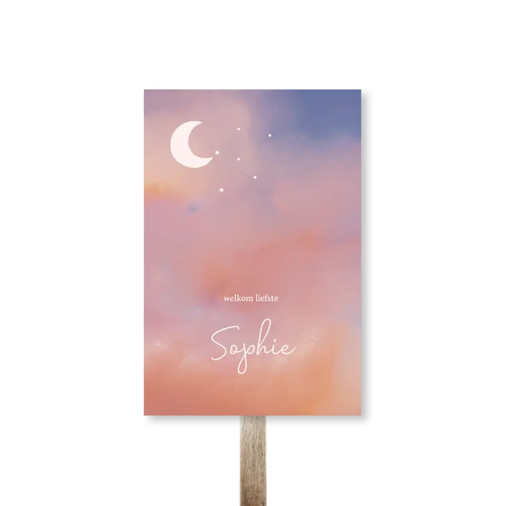 Staand tuinbord dromerig met pastelkleuren en maan