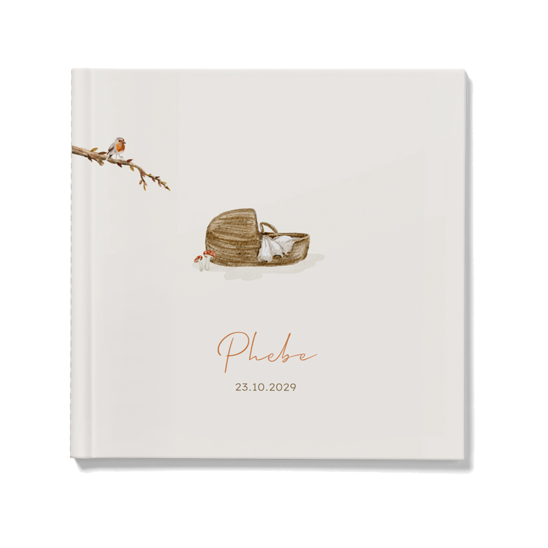 Kraambezoekboek geboorte baby mandje met tak en vogel