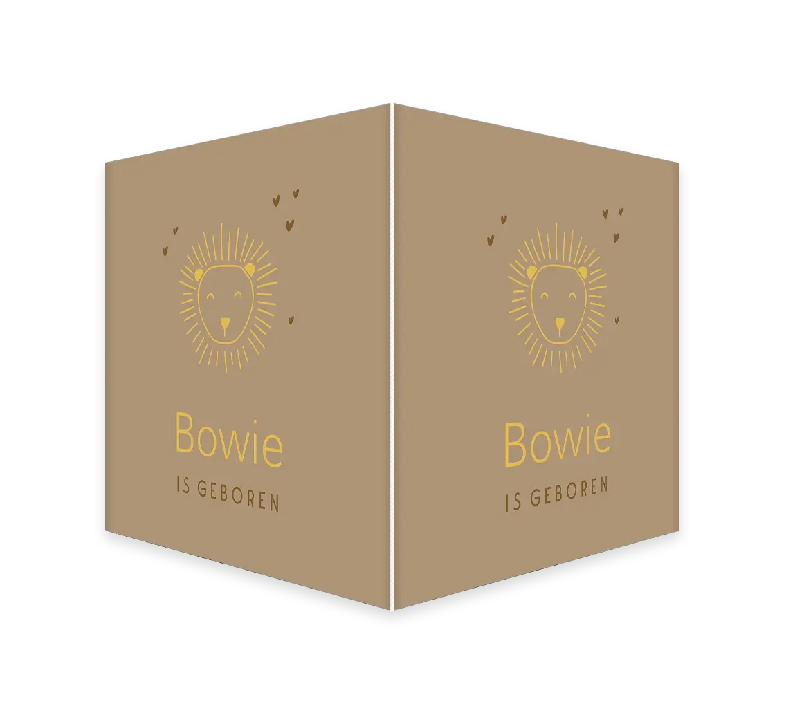 Bruin raambord met getekende leeuwenkop en hartjes