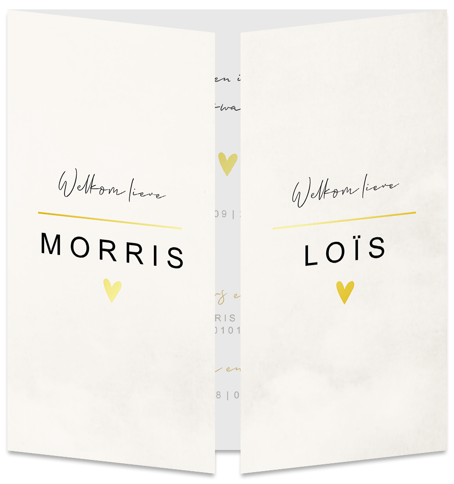 Geboortekaartje Tweeling Luikkaartje Beige Goud