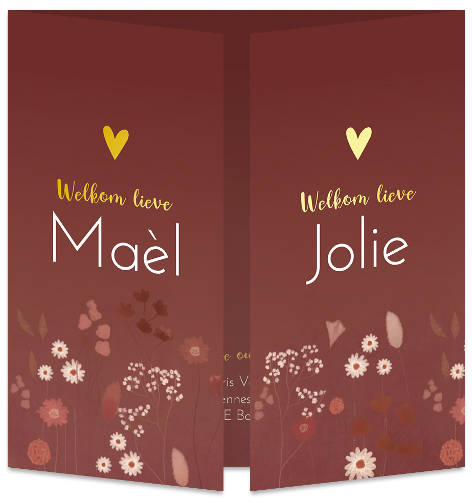 Geboortekaartje Tweeling Luikkaartje Droogbloemen Roest
