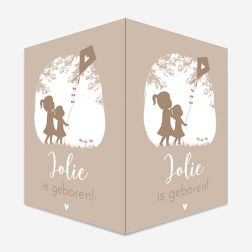 Geboortebord raambord meisjes vlieger