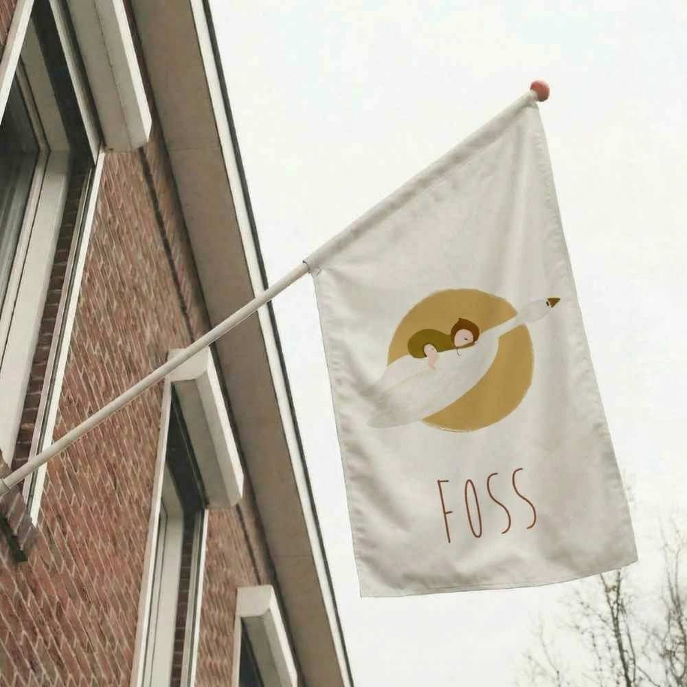 Geboortevlag baby vliegende gans