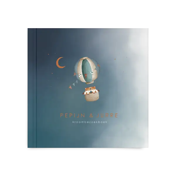 Tweeling kraambezoekboek met vosjes in luchtballon - met blanco pagina's