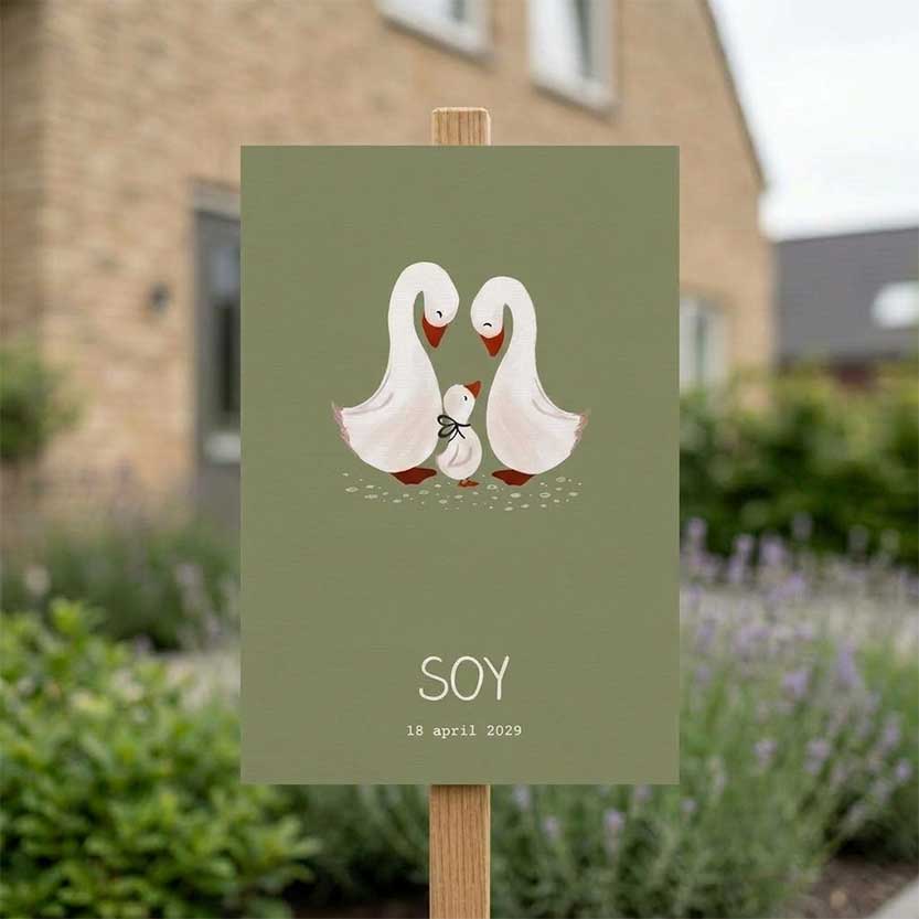 Tuinbord jongen familie gans