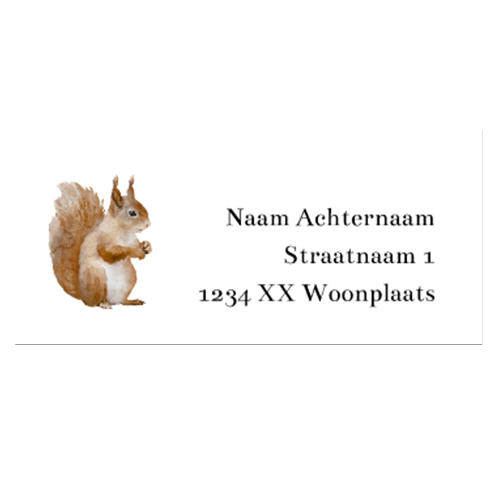 Adresstickers geboortekaartje met illustratie eekhoorn
