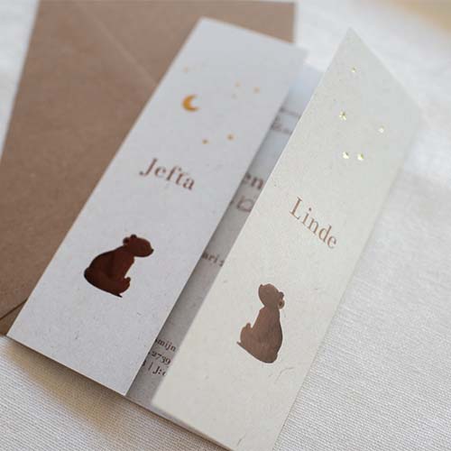 Tweeluik geboortekaartje tweeling beer sterren maan