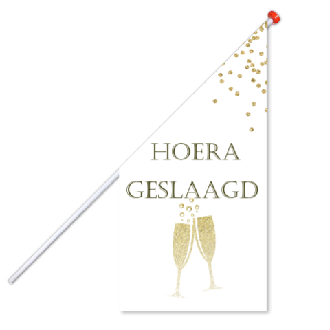Vlag hoera geslaagd met champagne glazen