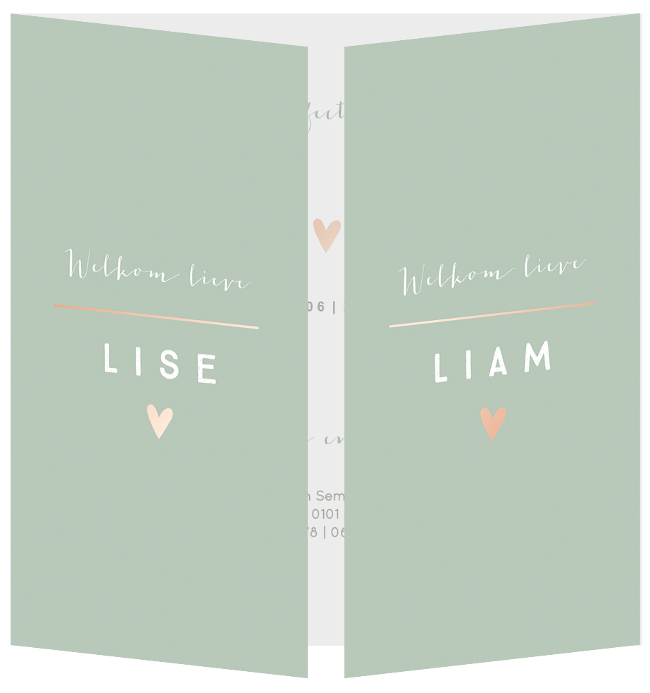 Geboortekaartje Tweeling Luikkaartje Mint Rose