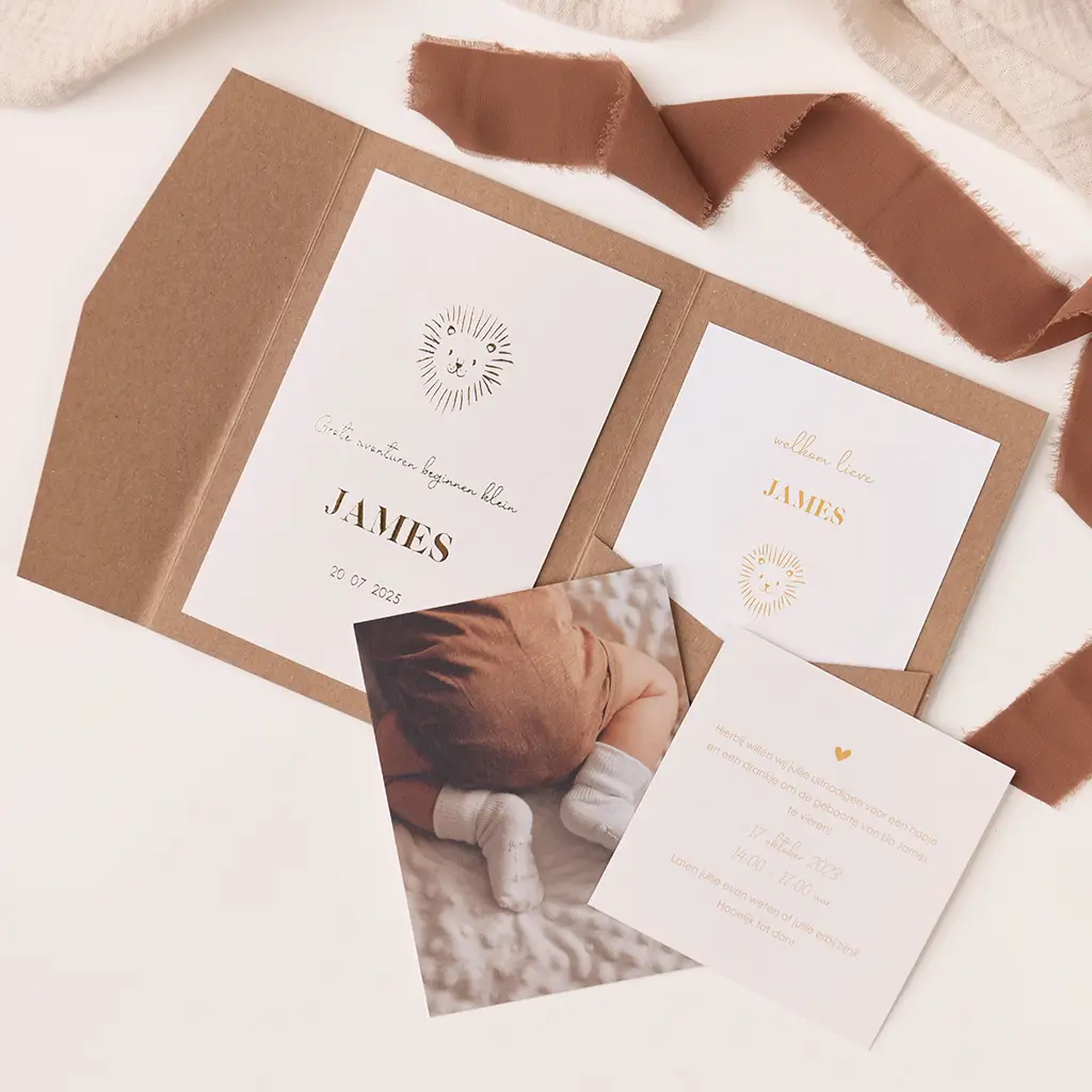 Pocketfold geboortekaartje met leeuwtje en goudfolie