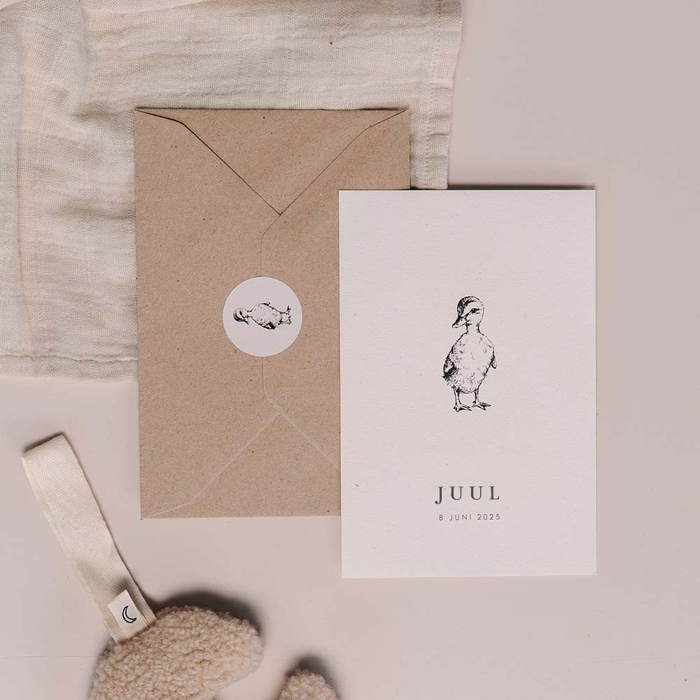 Klassiek geboortekaartje met illustratie van schattig eendje