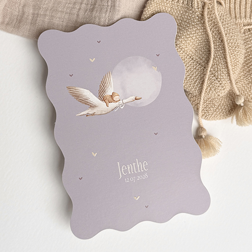 Kleurrijk geboortekaartje meisje met ooievaar en folie