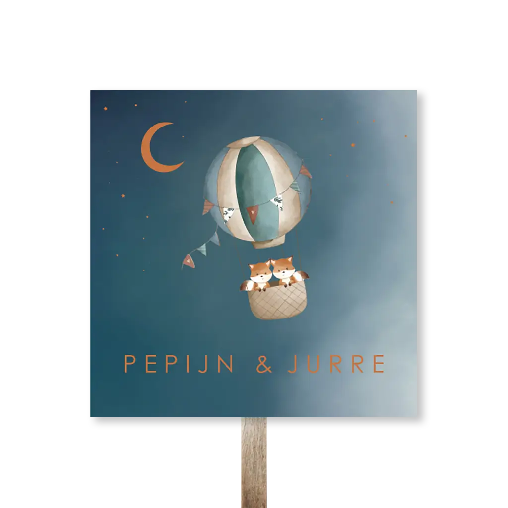 Tuinbord blauw met luchtballon en tweeling vosjes