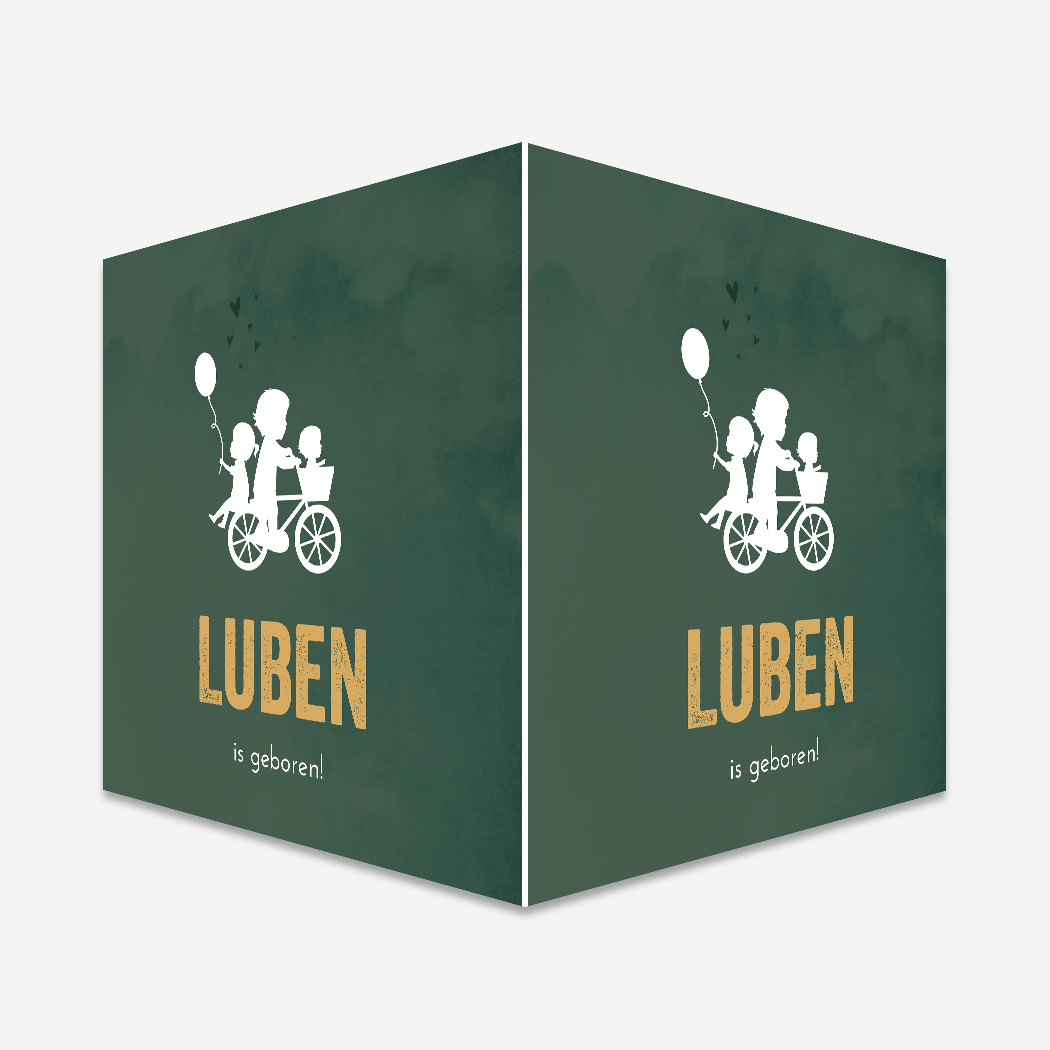 Raambord Fiets Kindjes Ballon Zoon