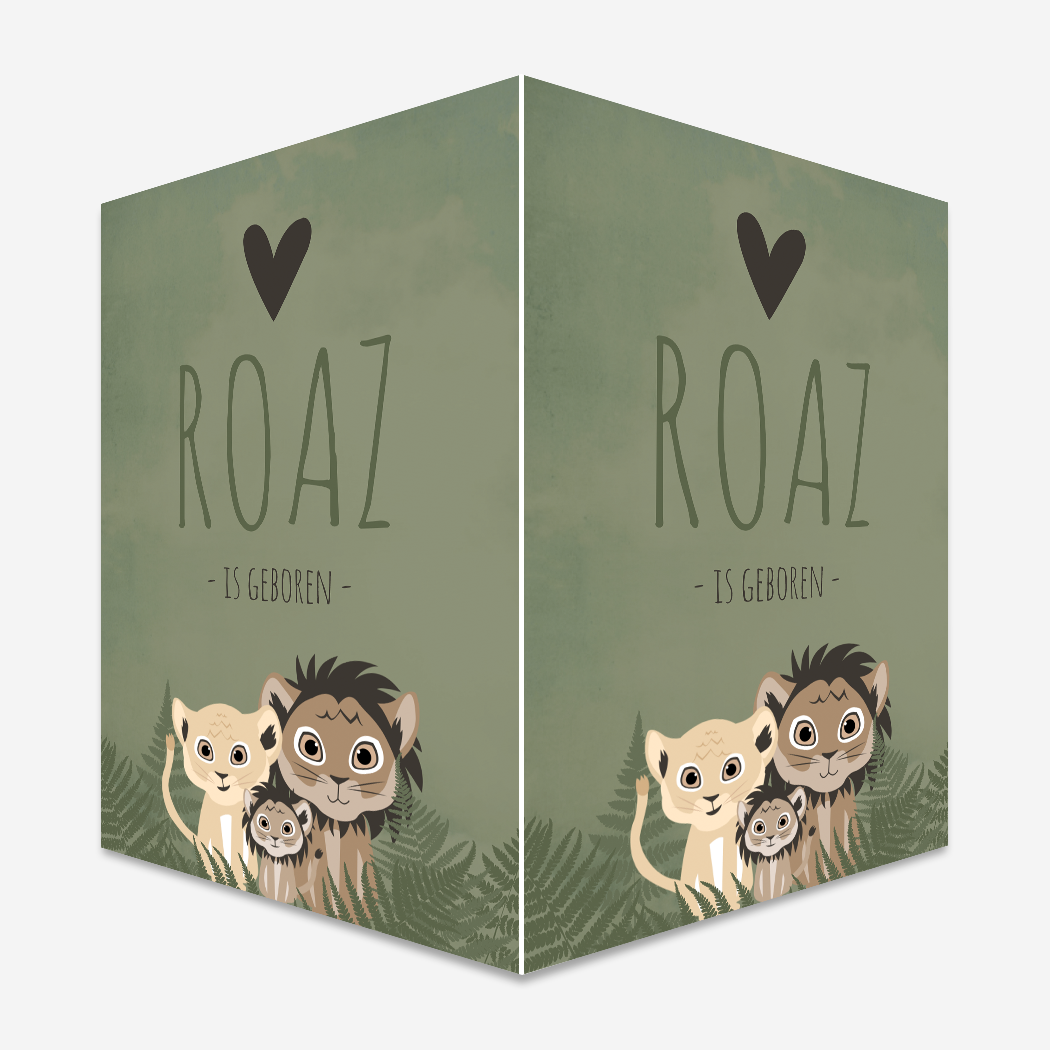 Raambord Jongen Leeuwen Stoer Illustratie