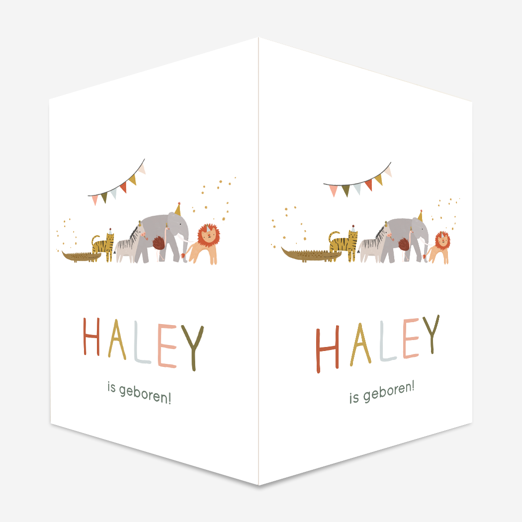 Raambord L Feestbeesten Vrolijk