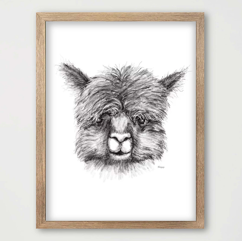 Dieren poster schattige alpaca potloodtekening