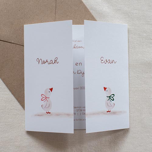 Geboortekaartje tweeling tweeluik kuikens