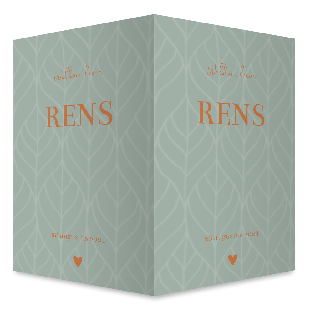 Geboortebord jongen groen bladeren