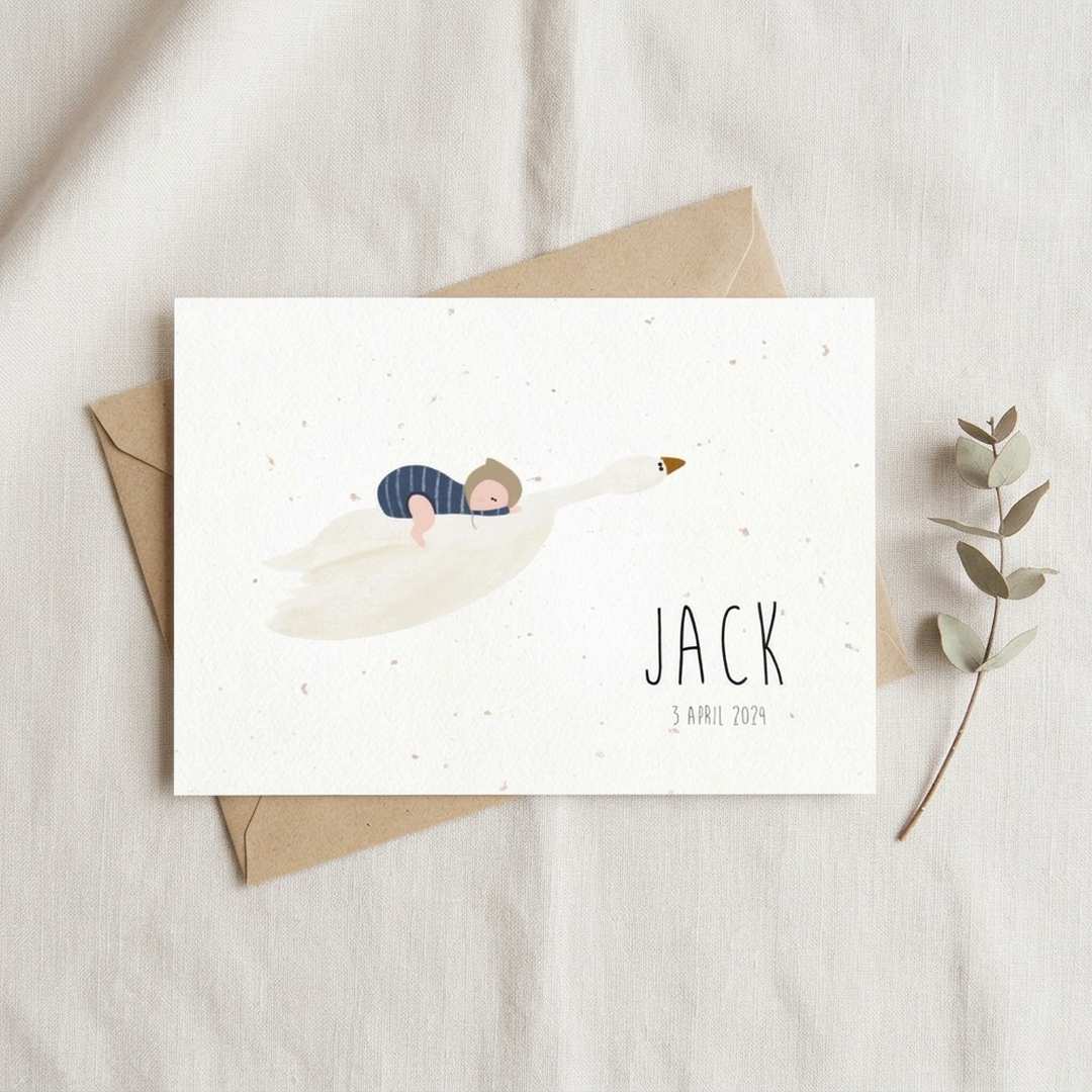 Geboortekaartje illustratie baby jongen gans