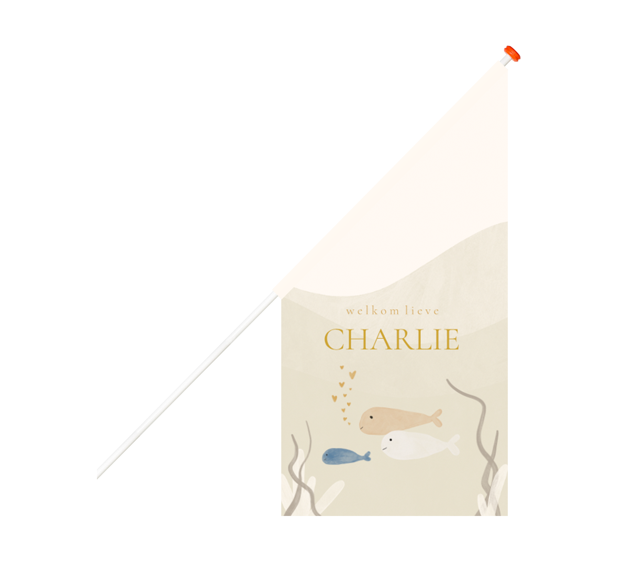 Geboortevlag met onderwaterwereld thema en vissen