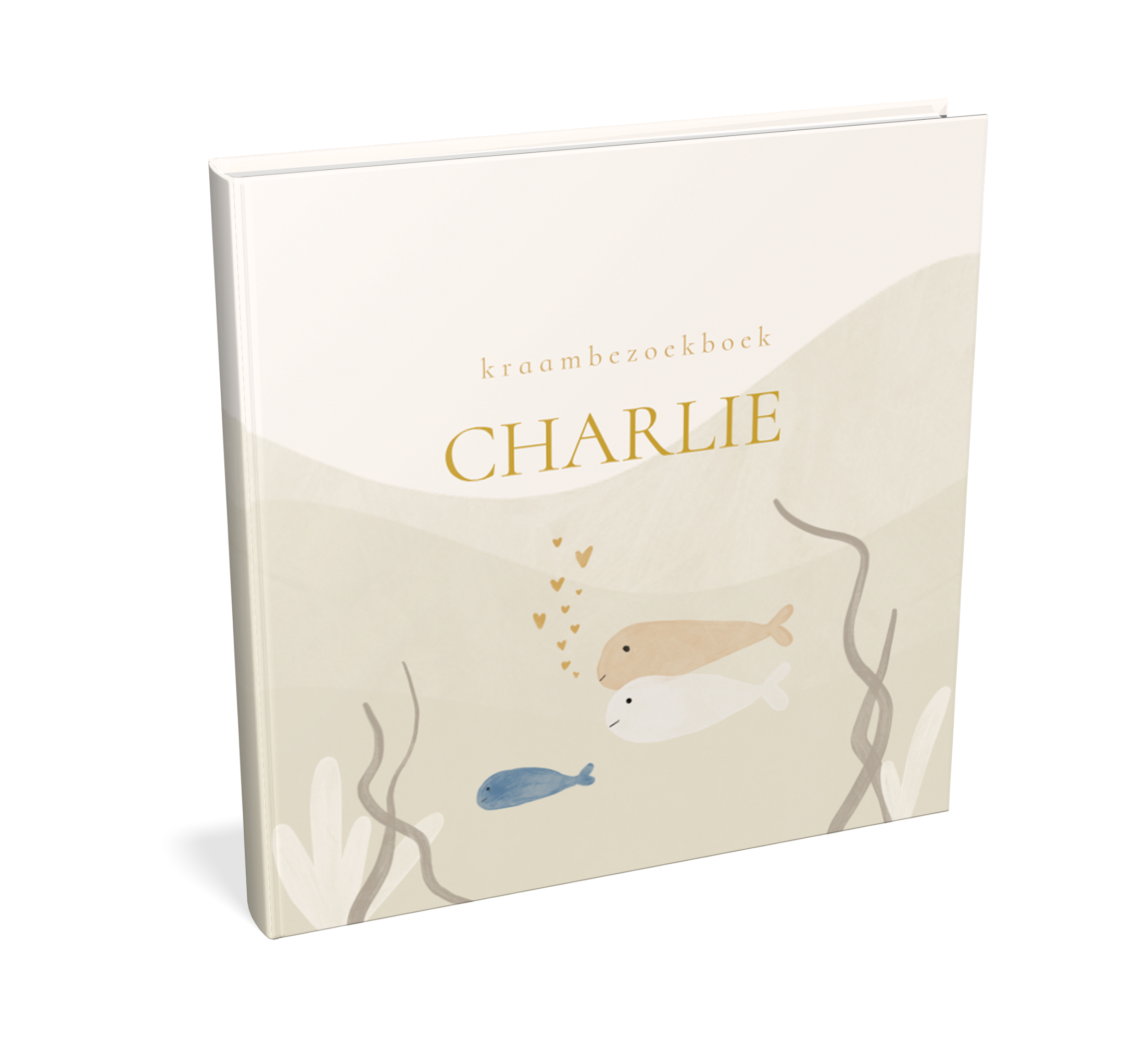 Kraambezoekboek met onderwaterwereld thema en vissen