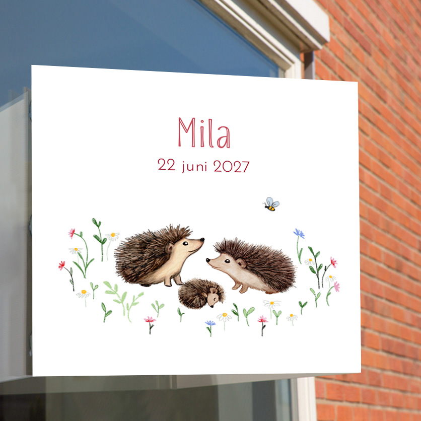 Raambord met illustraties van egeltjes en bloemen.