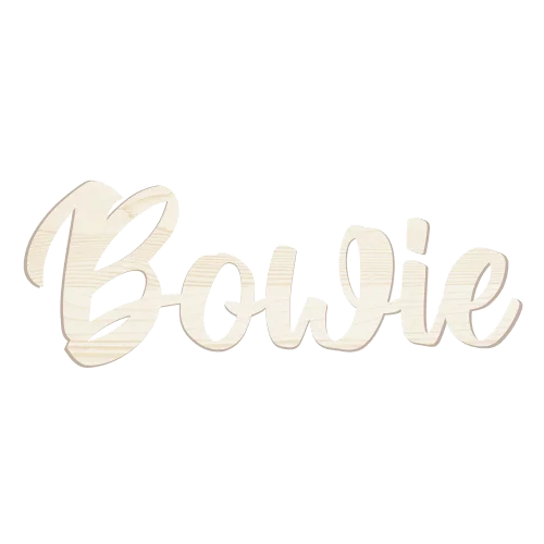 Naam in hout of acryl | lettertype Ontel