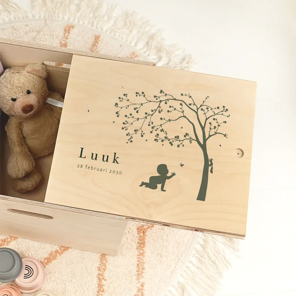 Doopsuiker presentatie doos met silhouet van jongen en boom