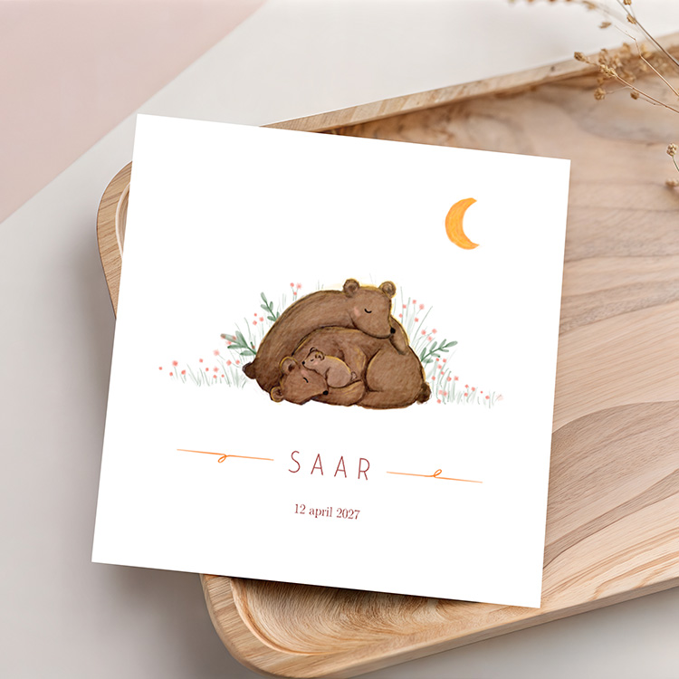 Geboortekaartje met slapende beertjes - meisje