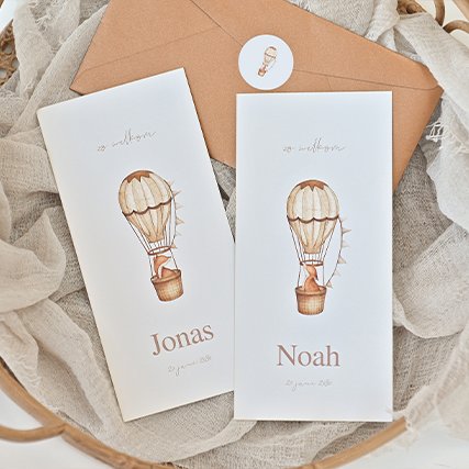 Lief tweeling geboortekaartje met vosjes in luchtballonnen