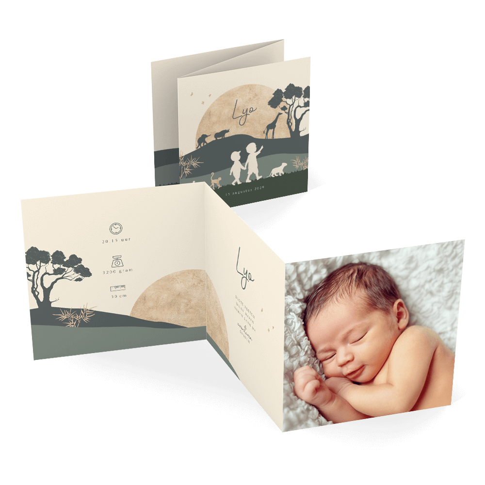 Safari zigzag silhouet geboortekaartje met broertjes
