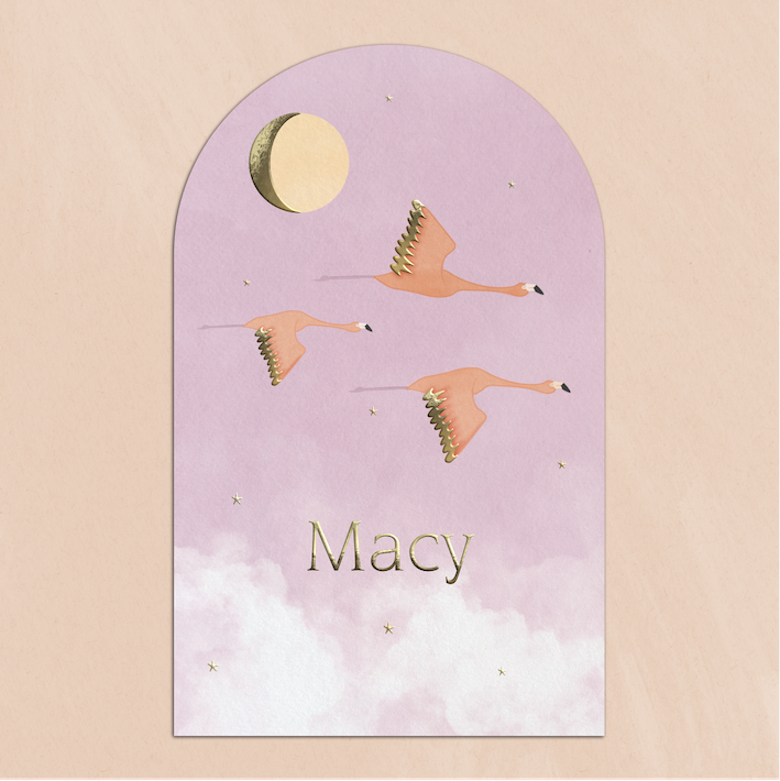 Geboortekaartje Boogvorm Flamingo's Lila